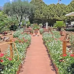 Paradiso سكوبيلو