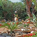 Paradiso سكوبيلو